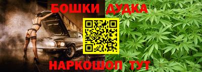 крисы Краснознаменск