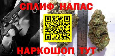 крисы Краснознаменск